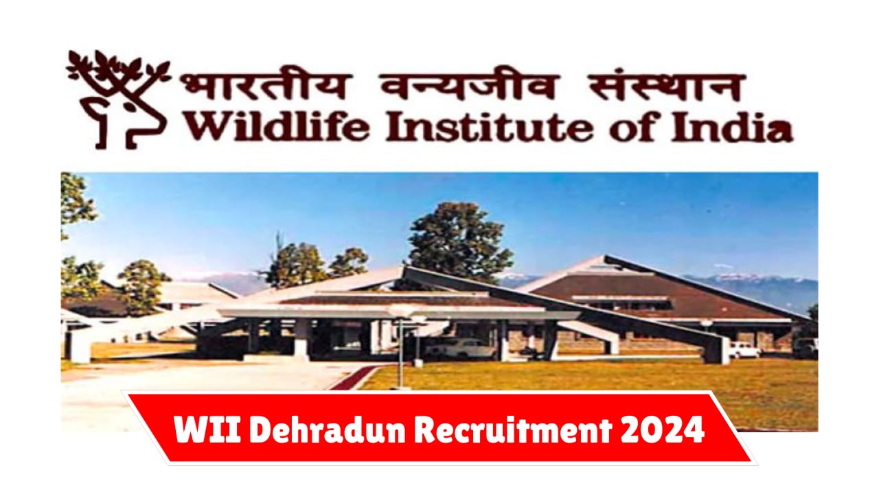 WII Dehradun Recruitment